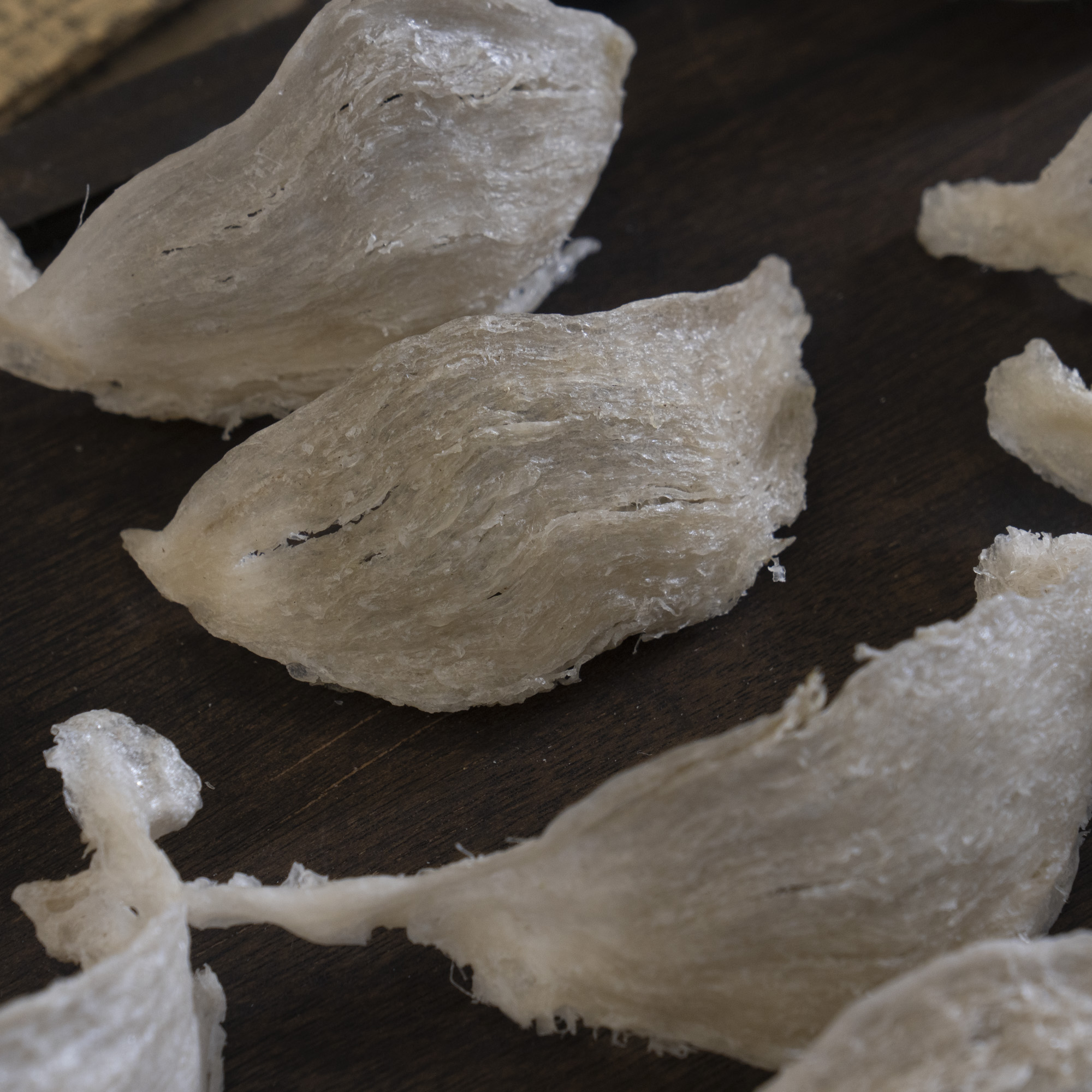 小鸟专场专属年年盏越南破裂盏燕窝