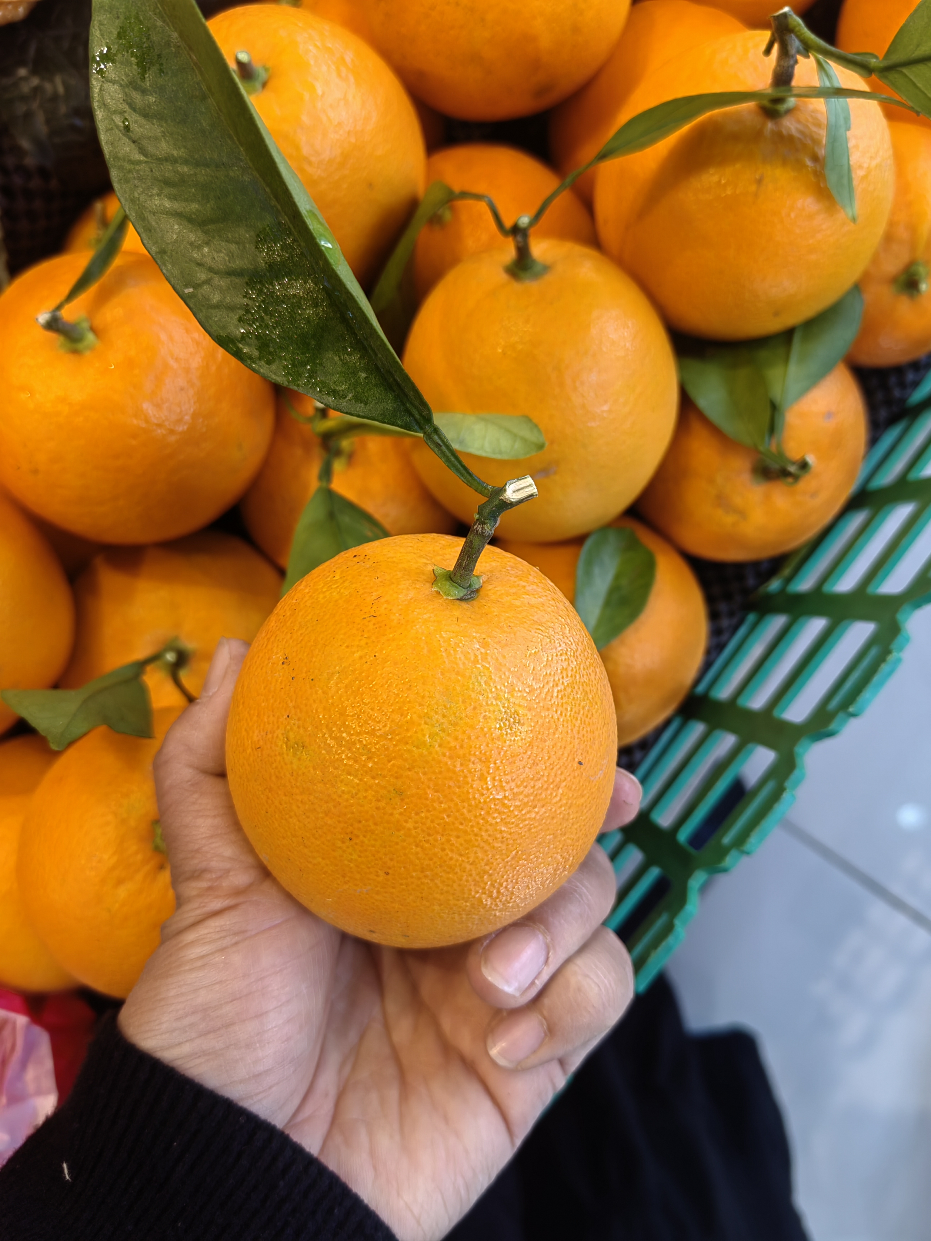 鑫鲜果屋蜂蜜甜橙（500g）