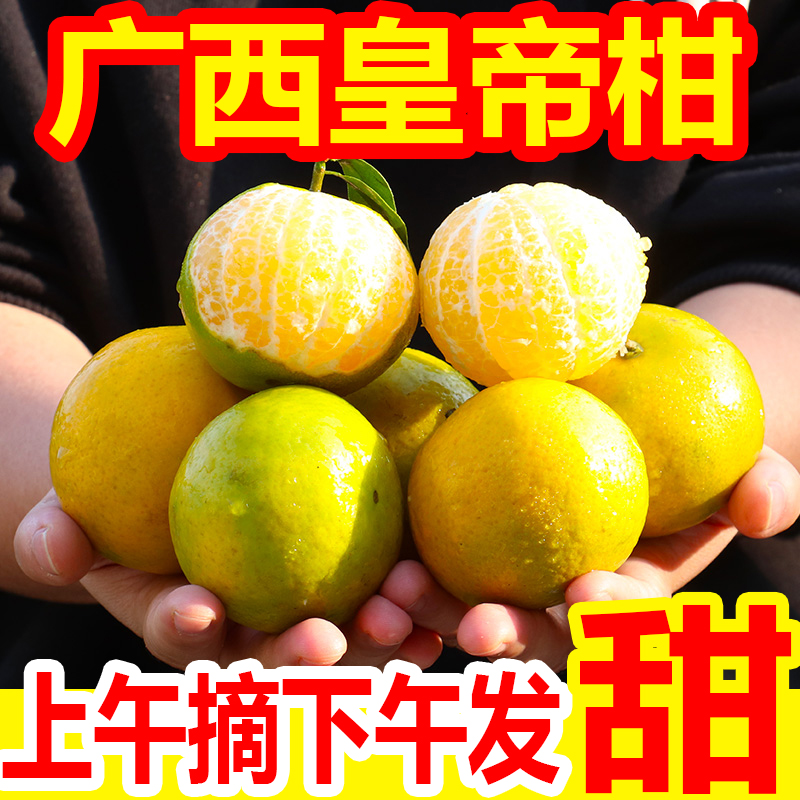 广西皇帝柑整箱8斤新鲜水果蜜桔香甜橘子贡柑砂糖桔子5斤2斤直供