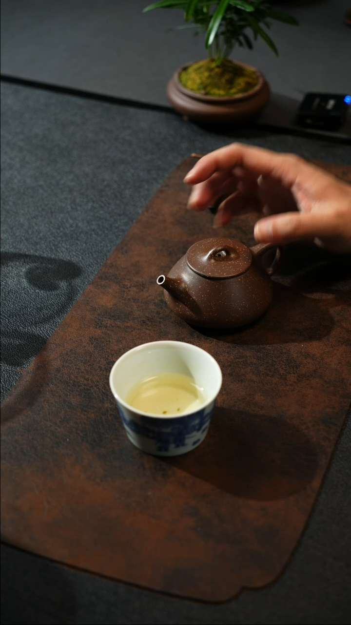 【闪购商品】紫砂茶壶1