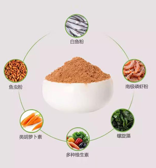 锦鲤专用观赏鱼专用500g