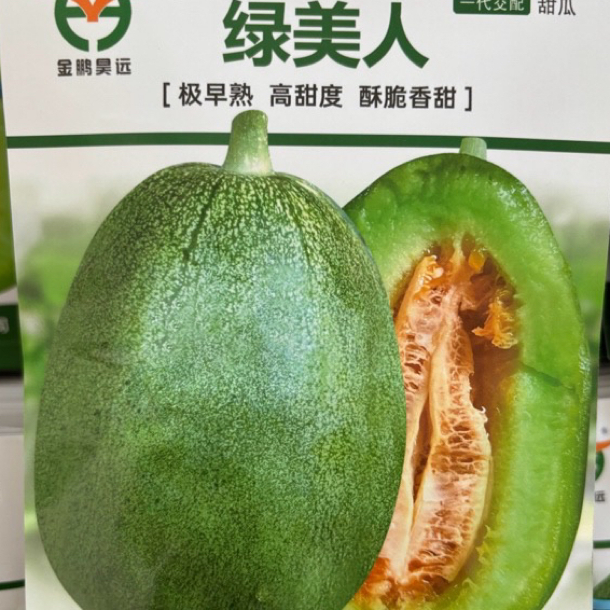 绿美人种子水果香瓜绿宝石哈密瓜丝瓜极早熟高甜度酥脆香甜甜瓜
