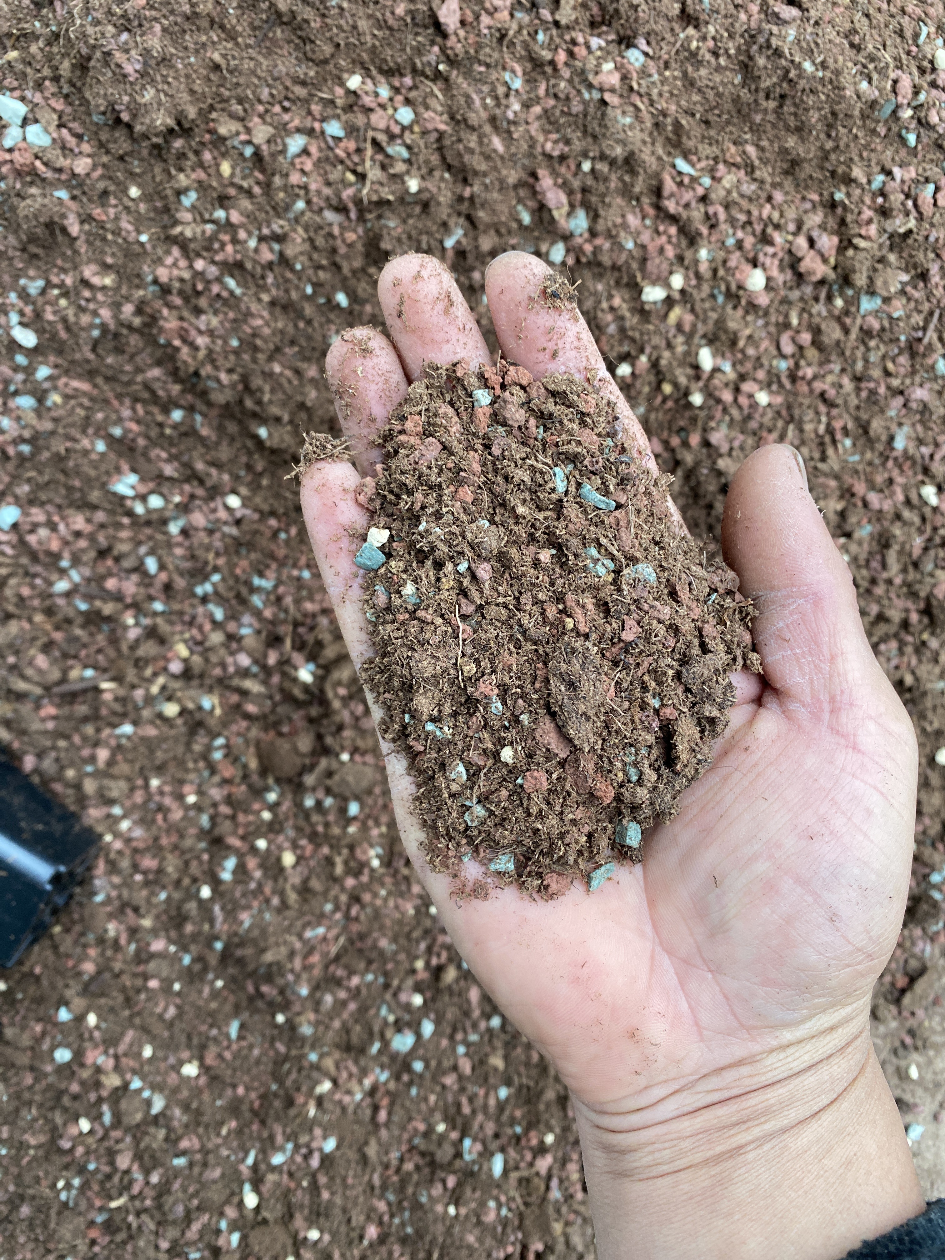 多肉植物专用颗粒土