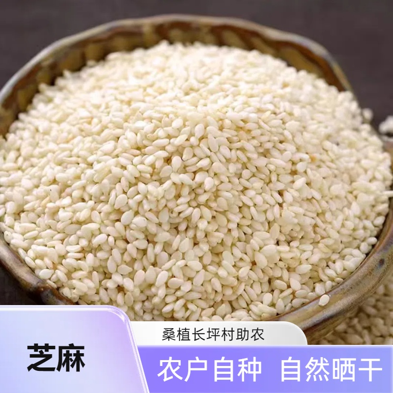 农户自种芝麻 长坪农货