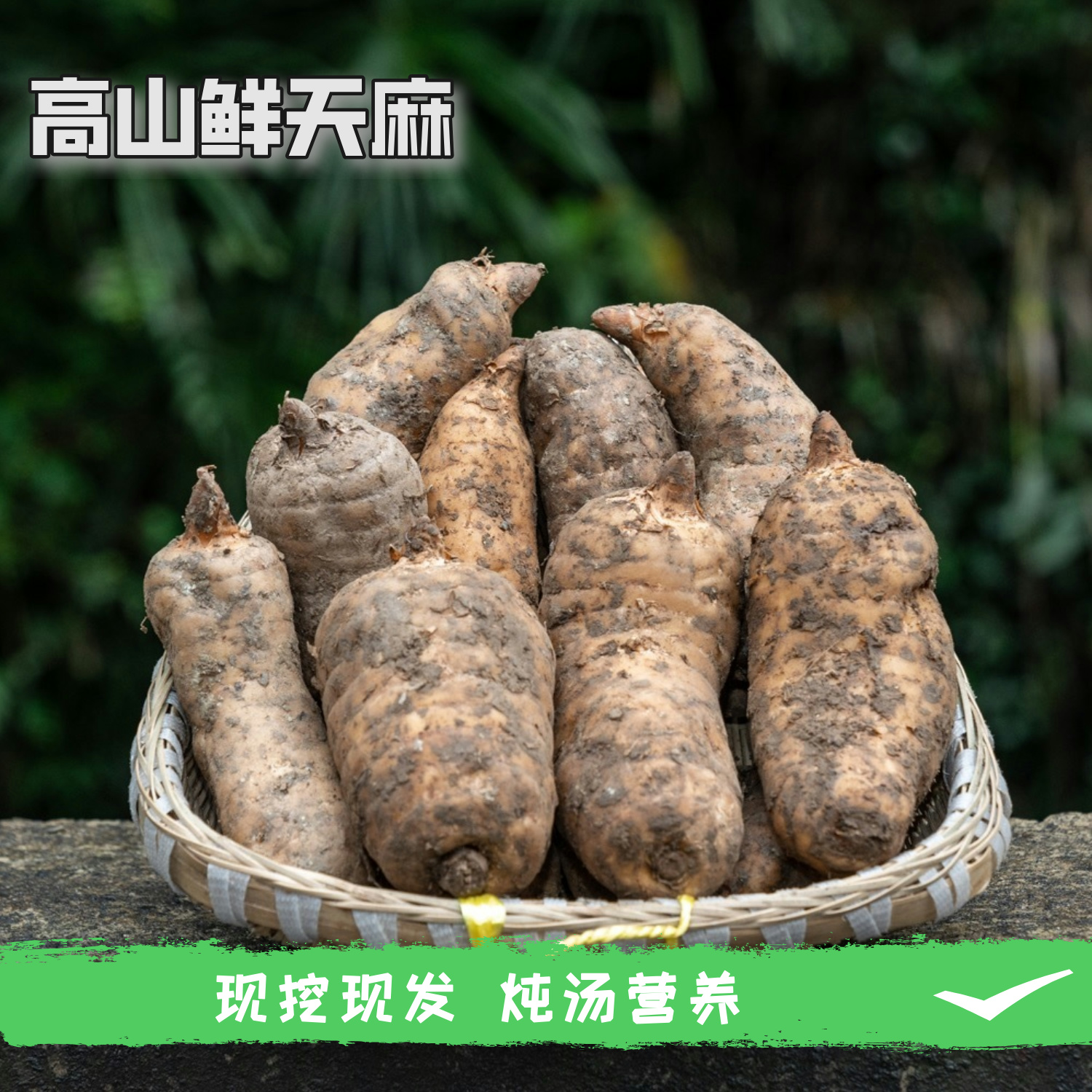 四川高山鲜天麻 营养 炖汤蒸蛋 坏果包赔 2斤/4斤  