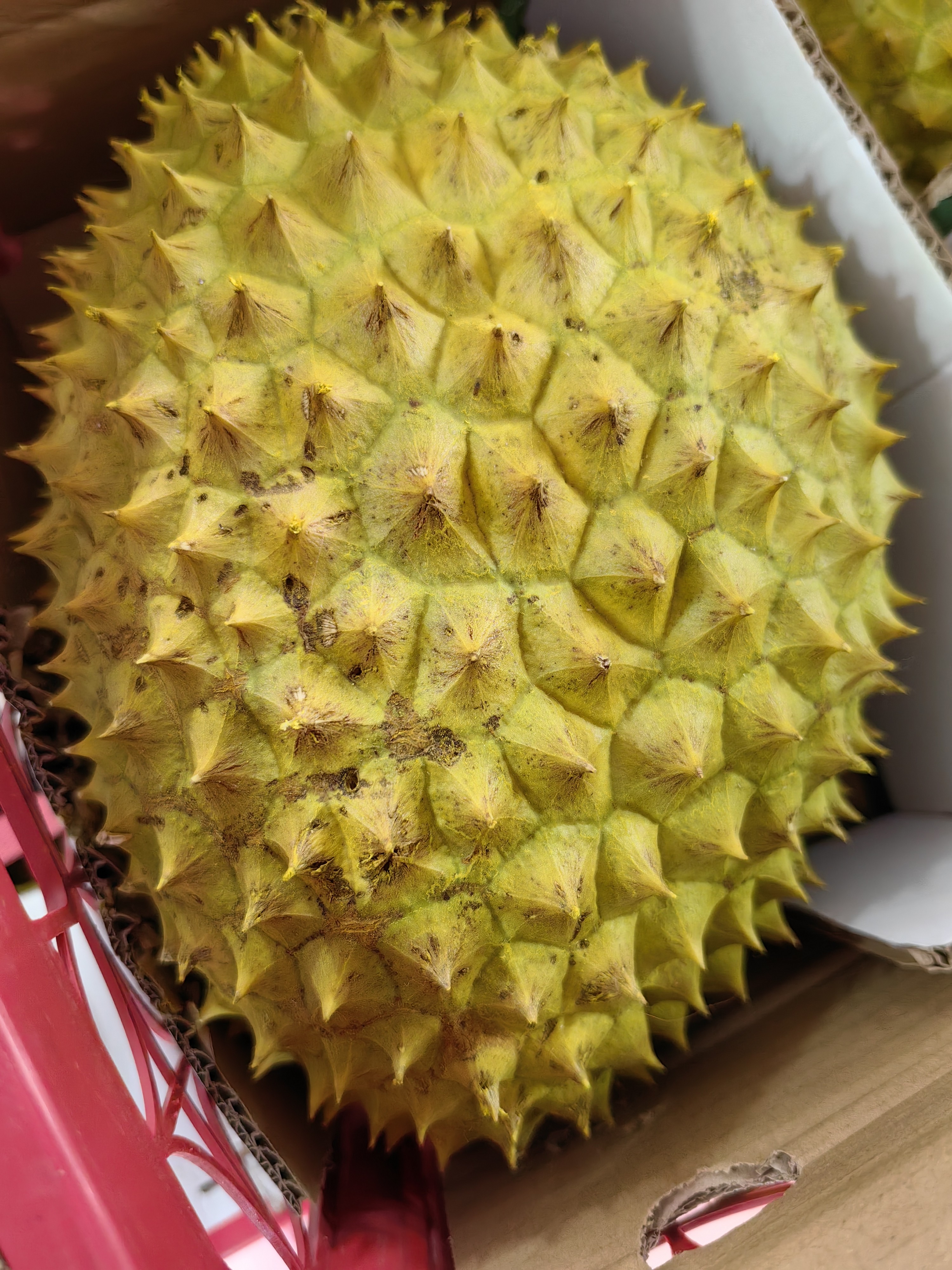 越南干尧榴莲4--5斤