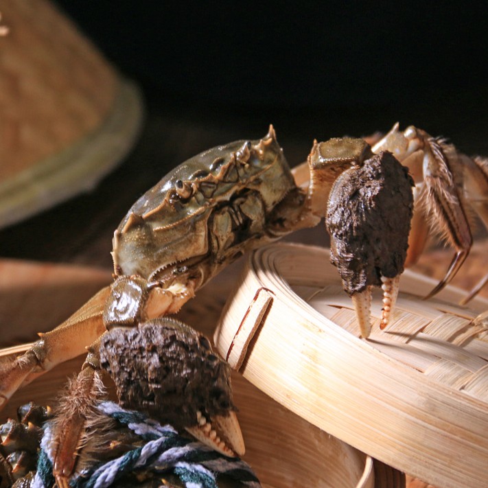 【母蟹】精品硬黄母蟹 1.7-2.0两/每只 大闸蟹 螃蟹（武汉1小时送货上门）