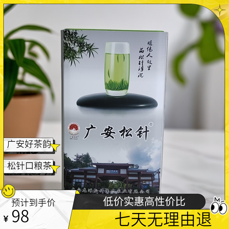 广安松针口粮茶松树下的高山茶
