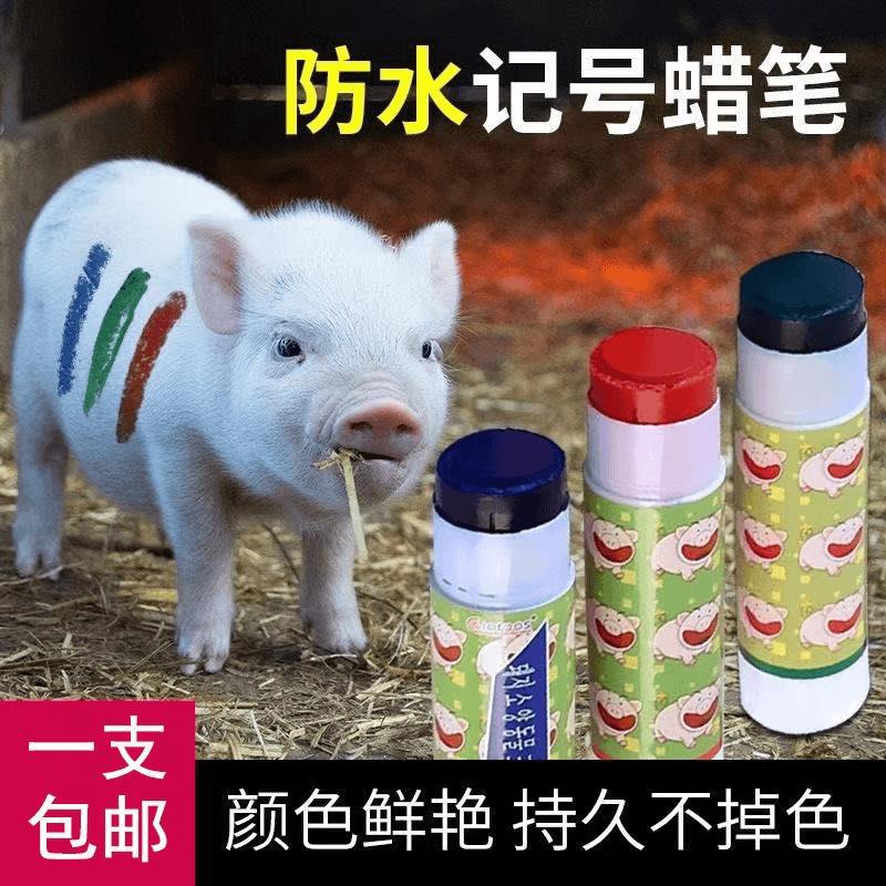 兽用记号蜡笔兽用彩色标识画笔羊身家禽标识记号笔猪场专包邮加粗