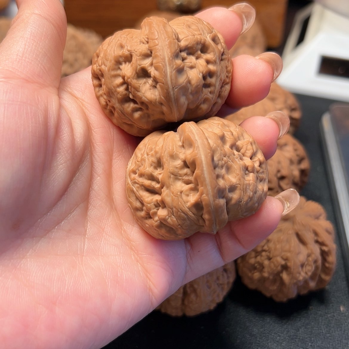 【闪购商品】文玩核桃把件元宝42