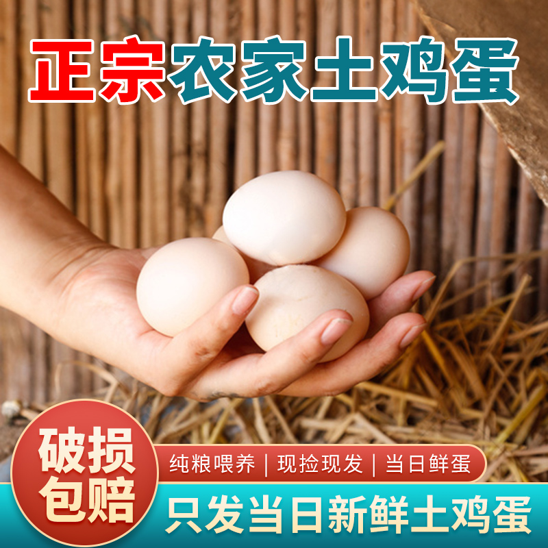 耕果妙农家散养土鸡蛋10枚新鲜鸡蛋单枚40克谷物喂养营养健康N