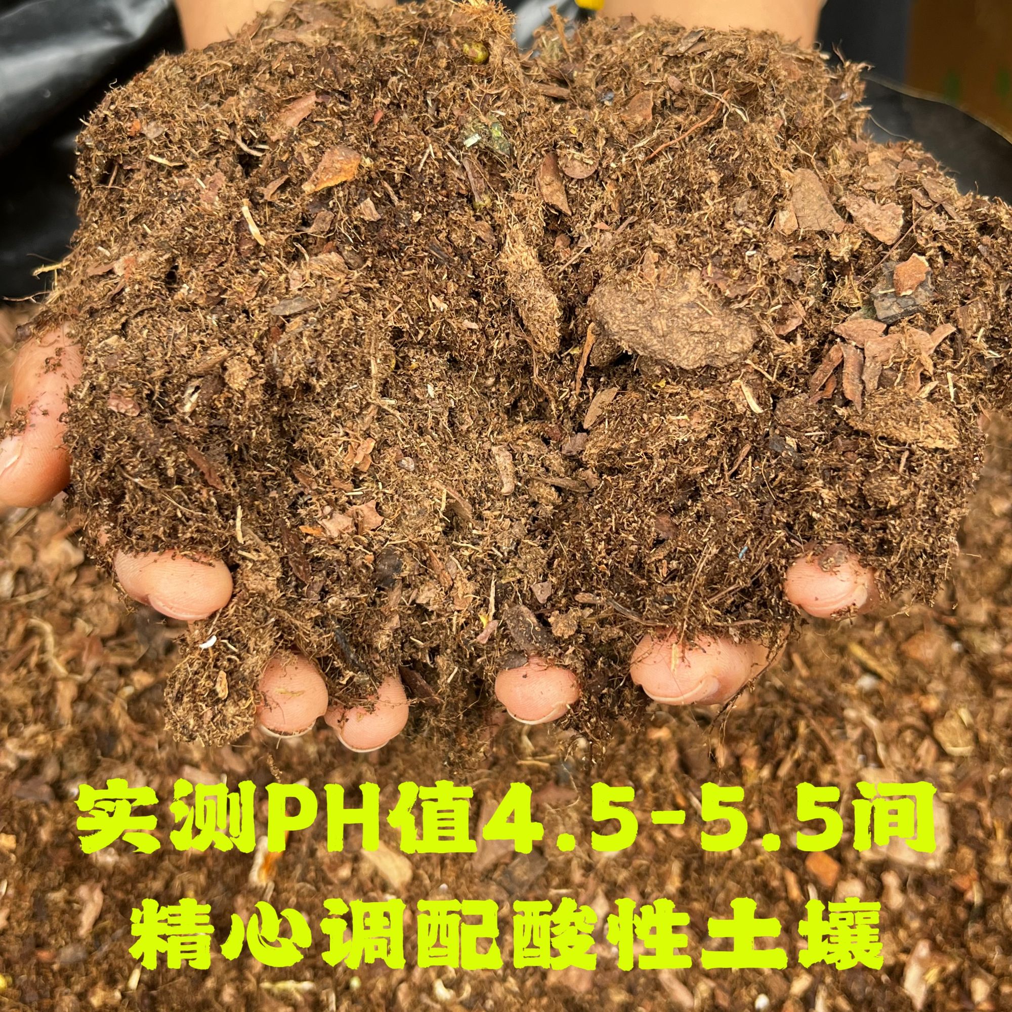 【高山杜鹃专用酸性泥炭土】6升·其他花卉绿植均可使用