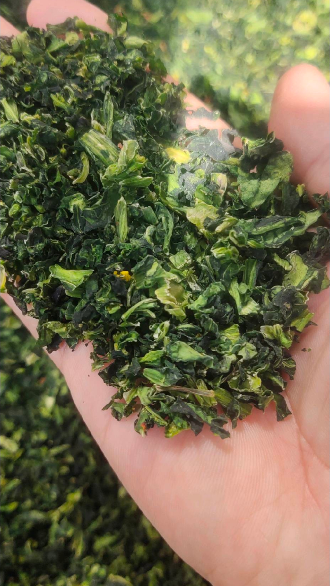 农家日晒干白菜苔腊菜——袋装