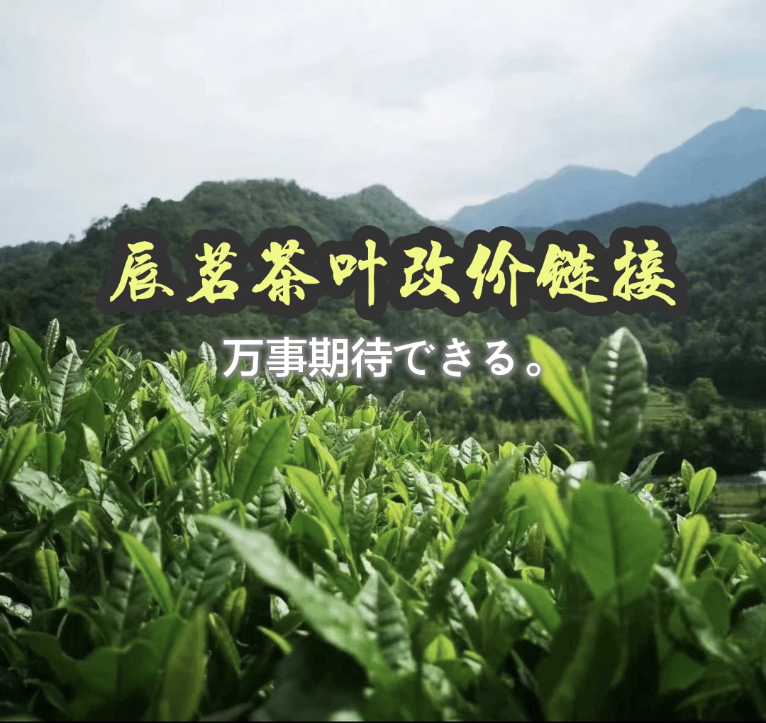 辰茗岩茶改价链接666号（以直播间上品为准）