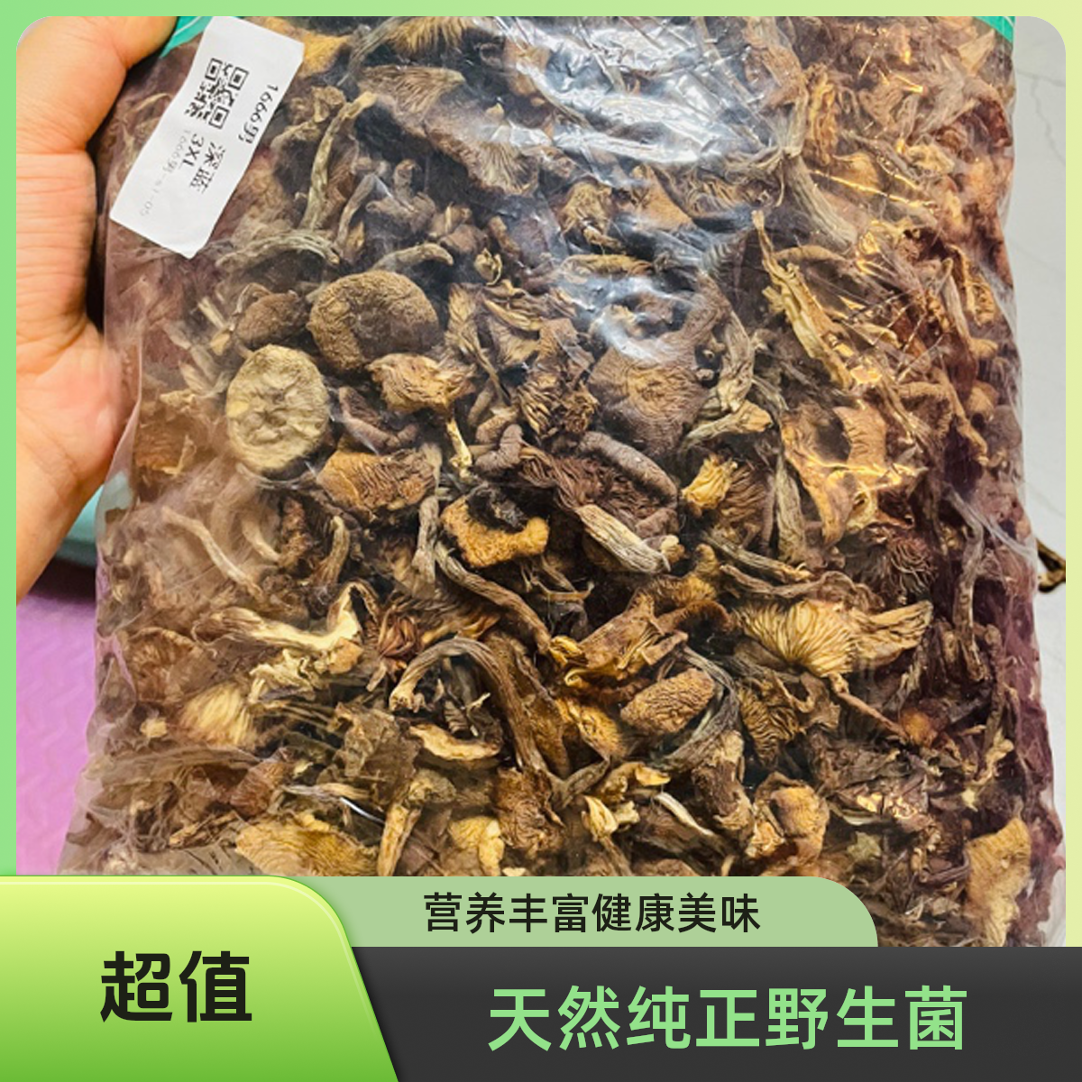 榛蘑碎 蘑菇碎 干净无沙