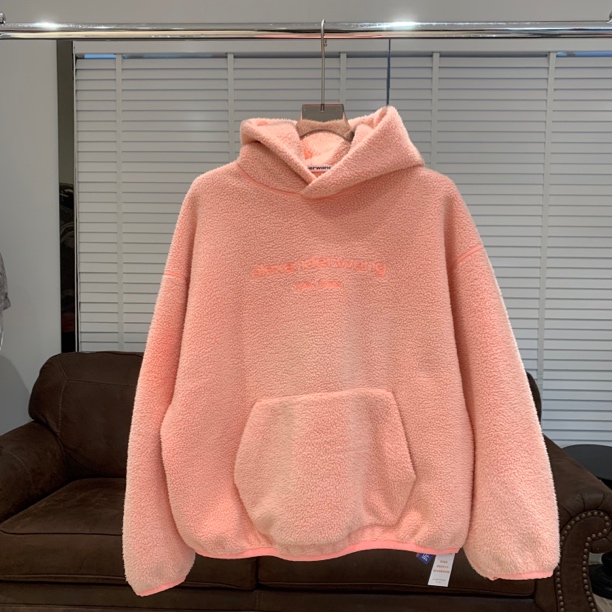 Alexander Wang 23ss新款刺绣logo泰迪帽衫/os s码/99新/11392