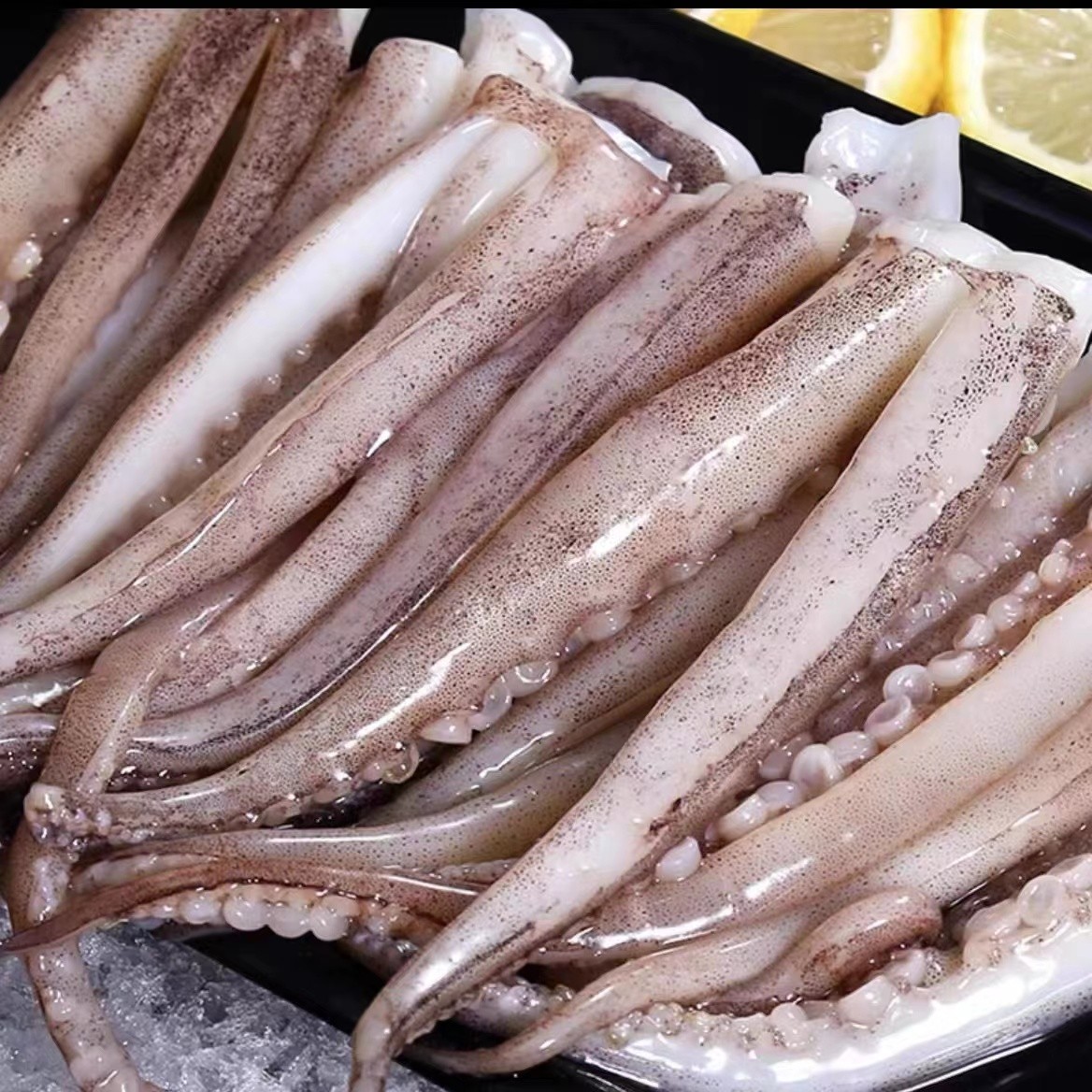 连云港发货 、美味鱿鱼须 二本足鱼500g /包*5包