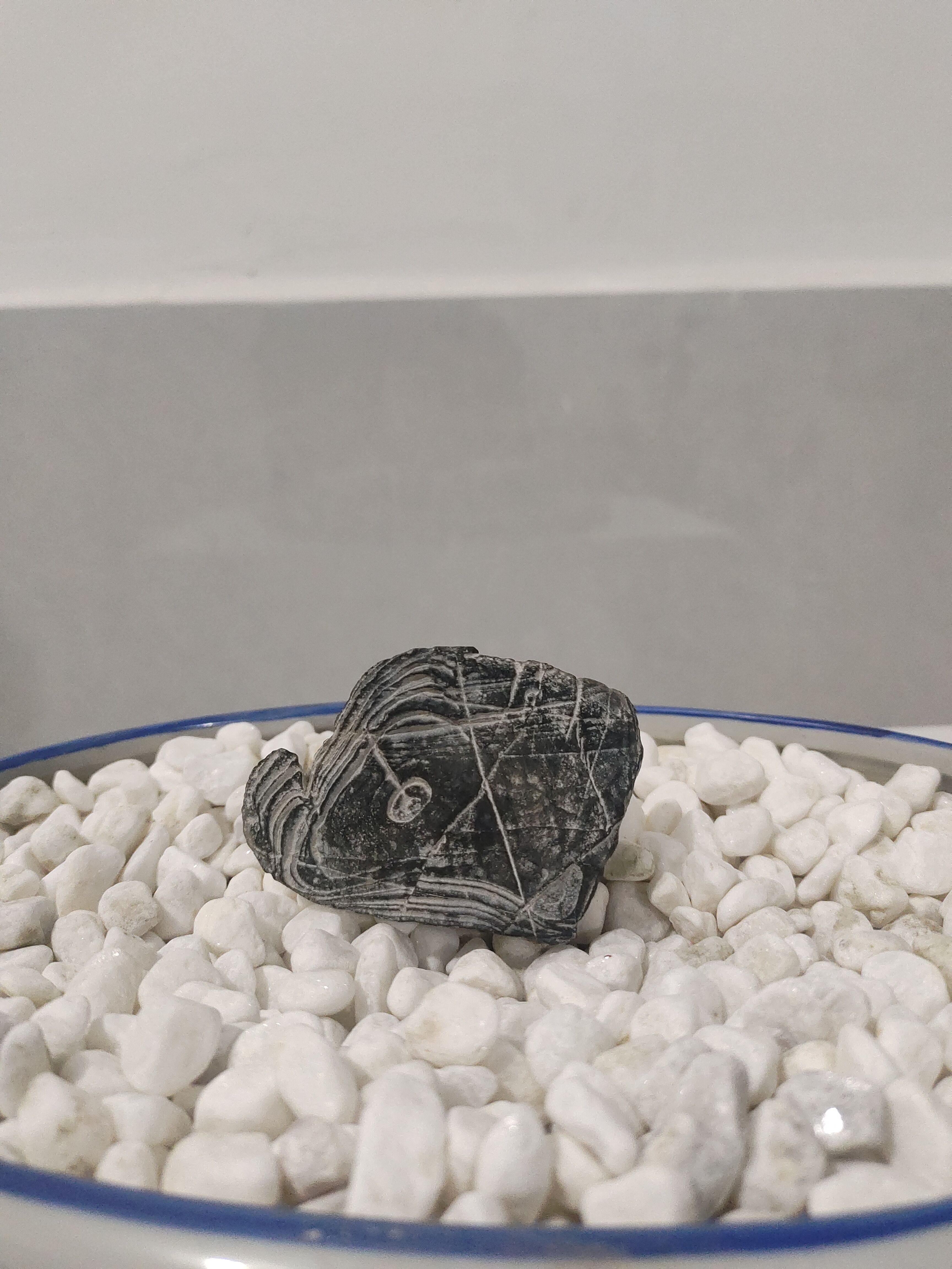 灵璧白马纹石直播专用