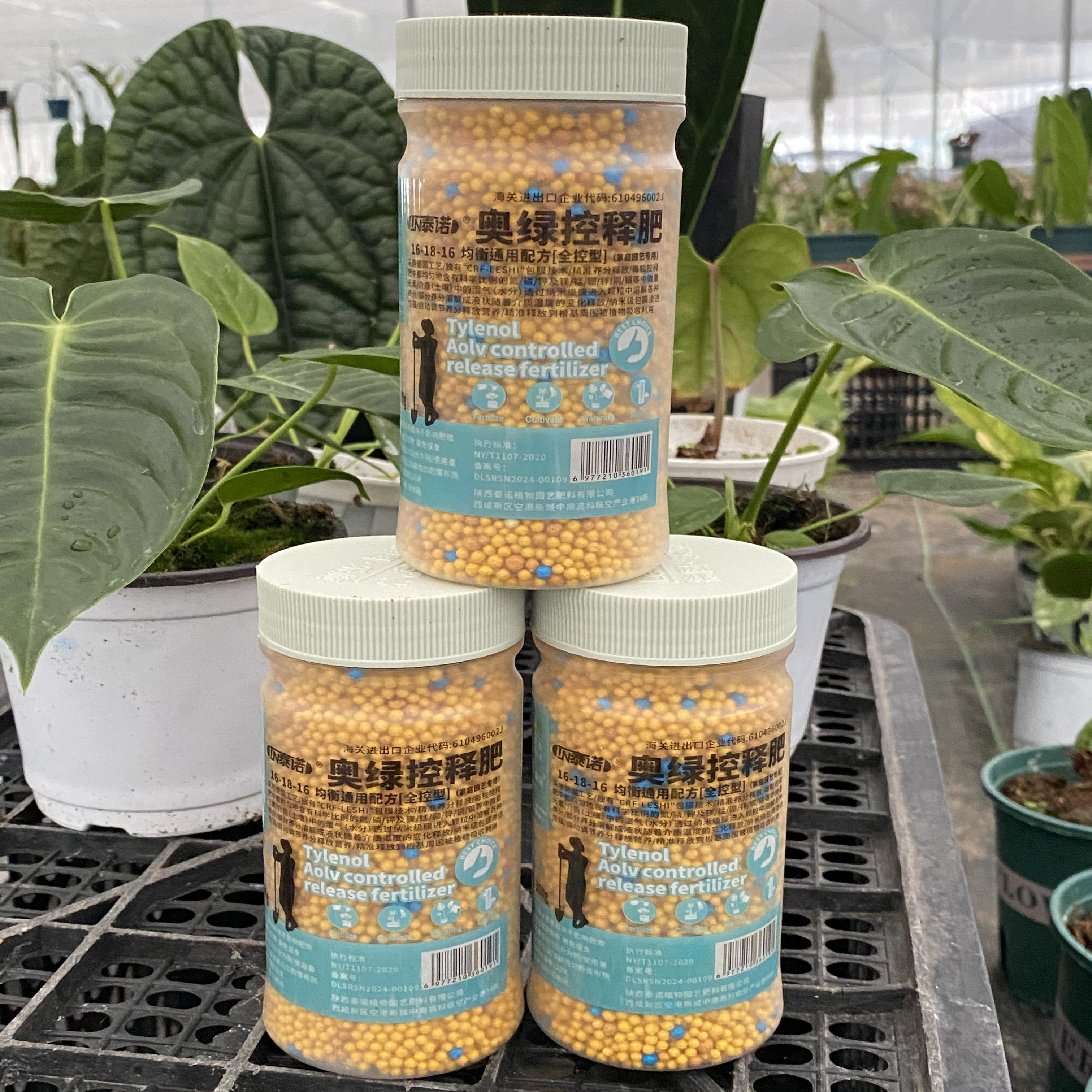 【动力植物】扛把子专属天南星科通用肥料  奥绿缓释肥  花多多300g