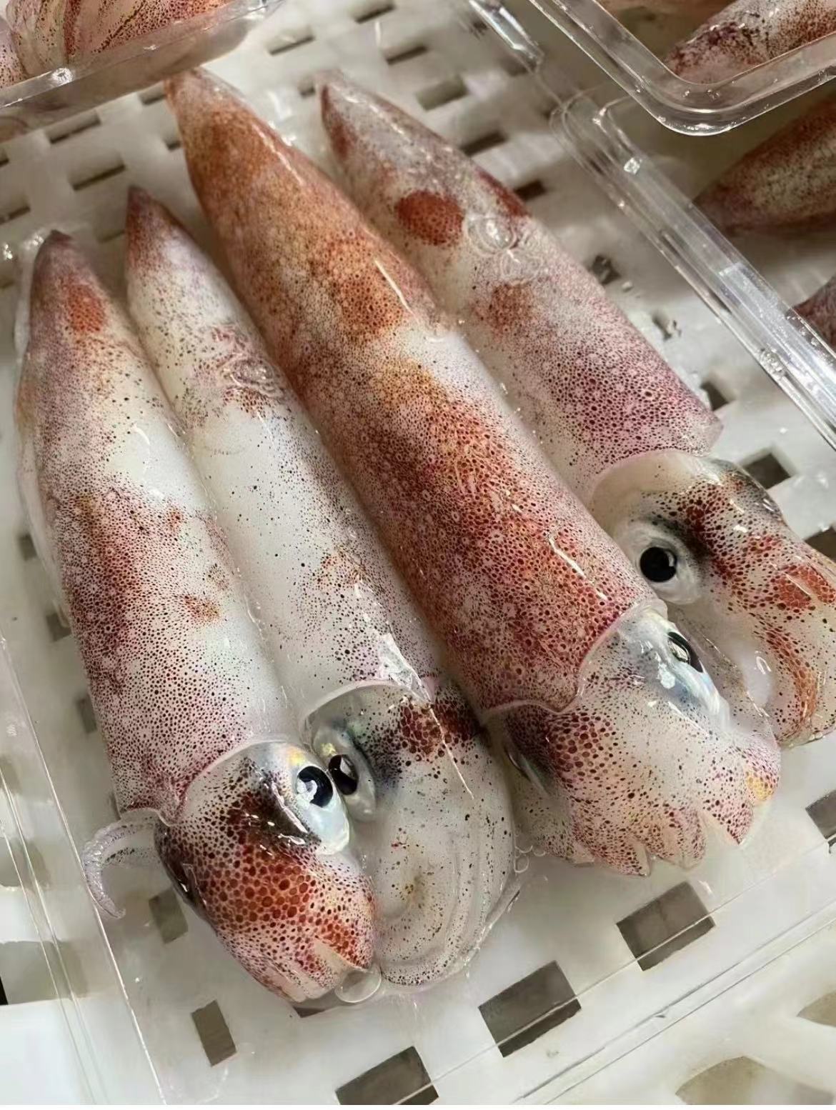 《同城闪送》干冰鱿鱼