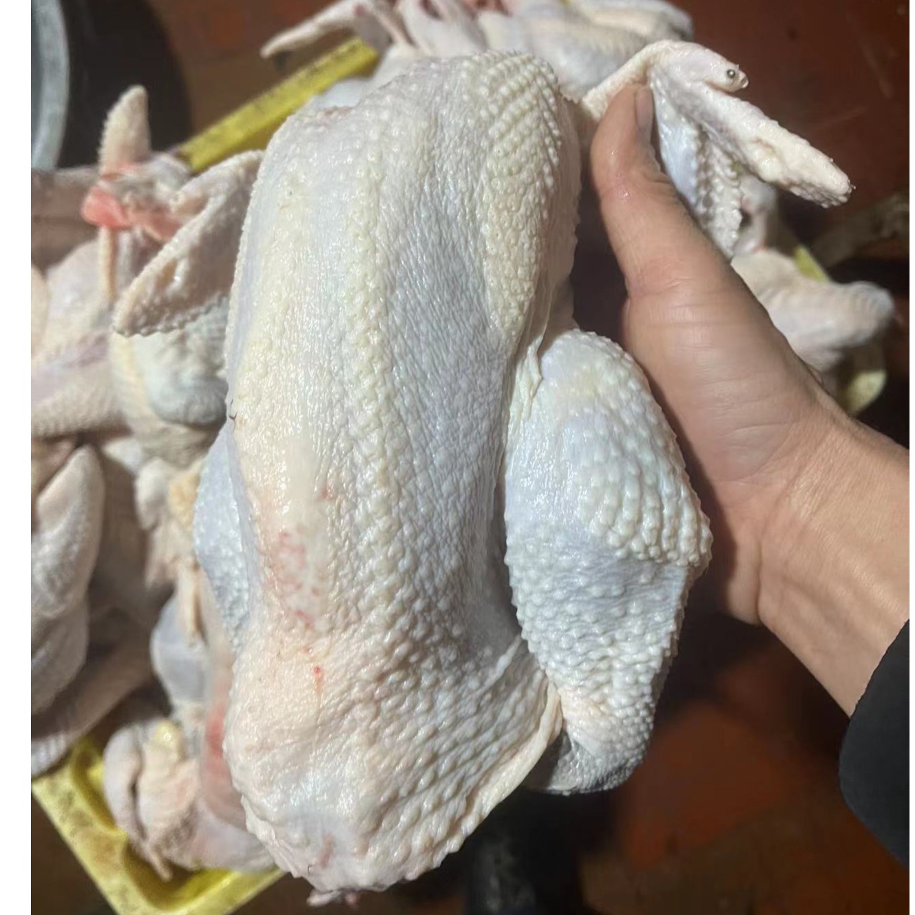 《同城闪送》脆皮鸡 1只