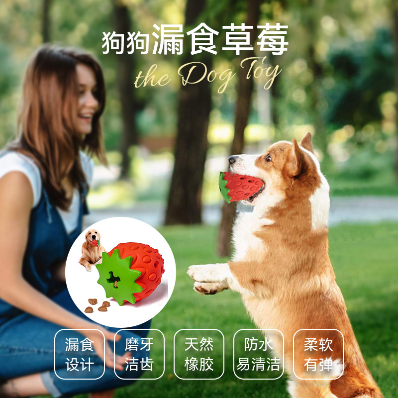 小狗宠物玩具藏食磨牙洁齿小型幼犬泰迪柯基金毛耐咬解闷神器
