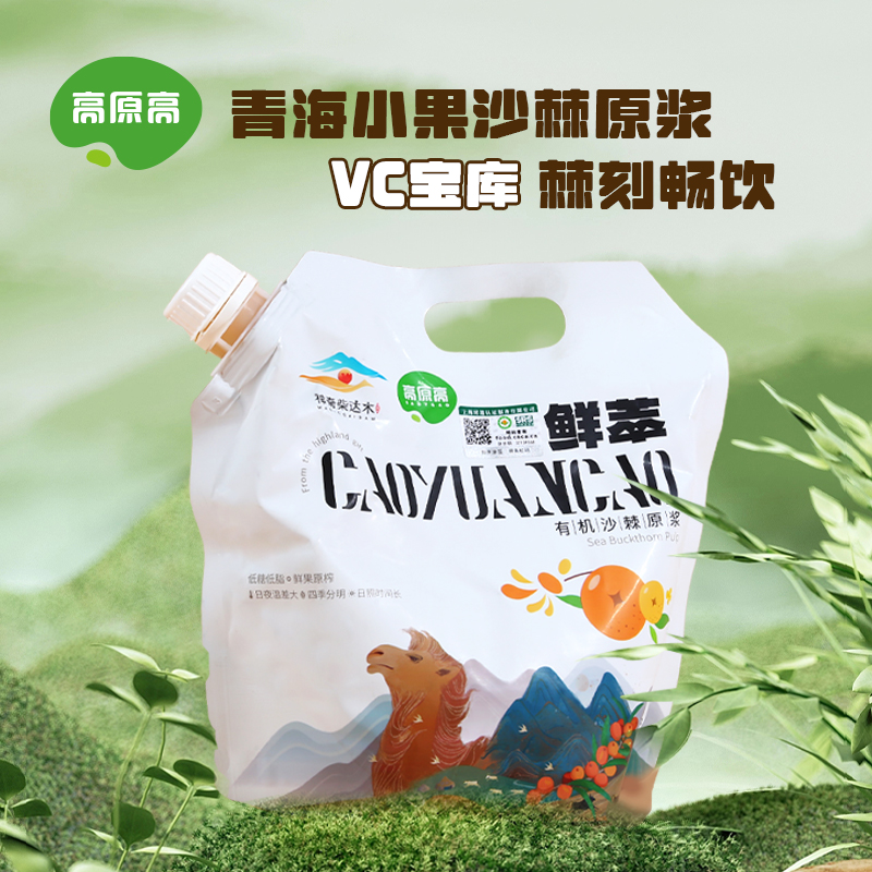 青海小果沙棘原浆鲜榨沙棘果原浆