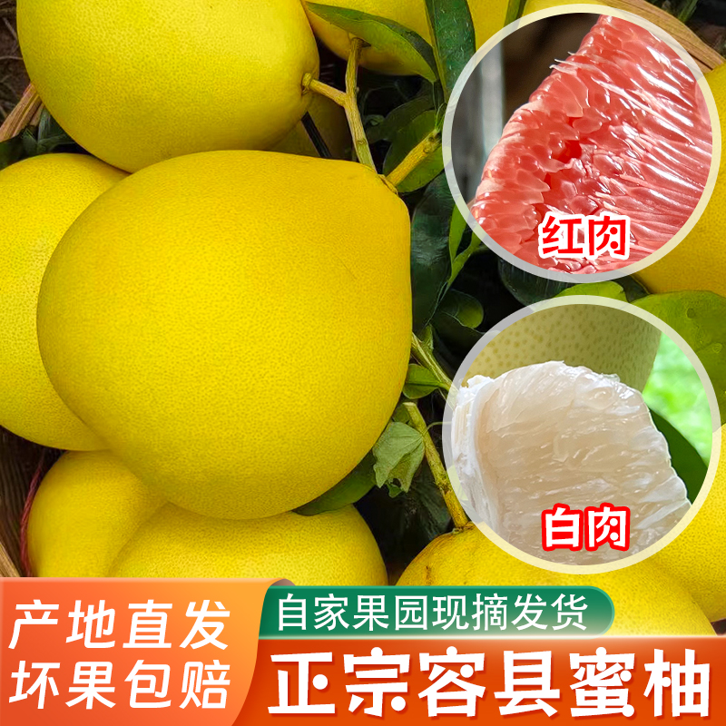 正宗容县蜜柚白肉红心自家果场现摘现发新鲜多汁送礼柚子红心蜜柚