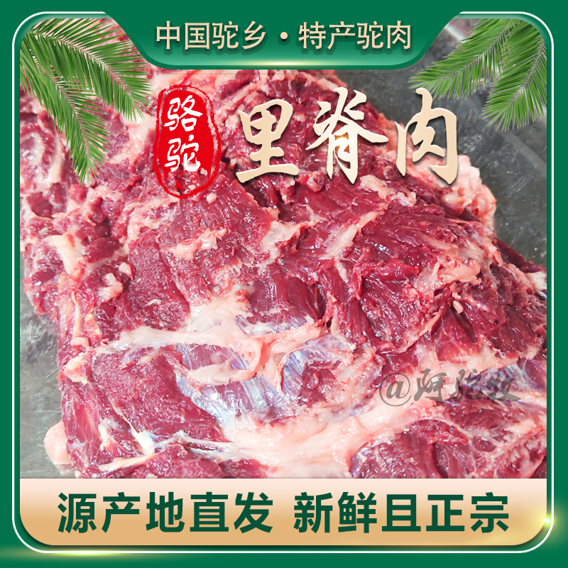 正宗新鲜骆驼肉精选里脊吊龙肉烧烤小炒美味营养丰富5斤包邮