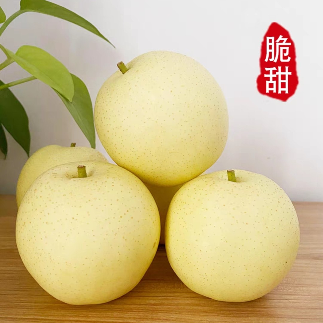 《河北皇冠梨梨子》正宗皮薄脆甜视频口感好吃多汁产地发货新鲜水果