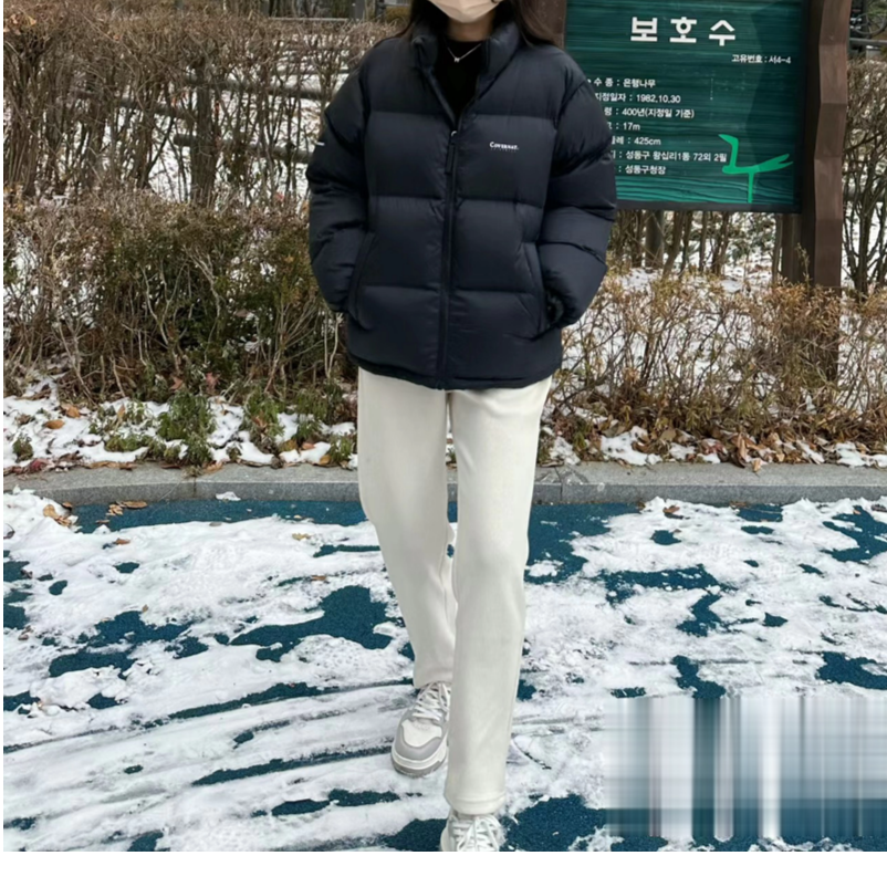 泡菜国小C标休闲运动立领时尚情侣面包服ins