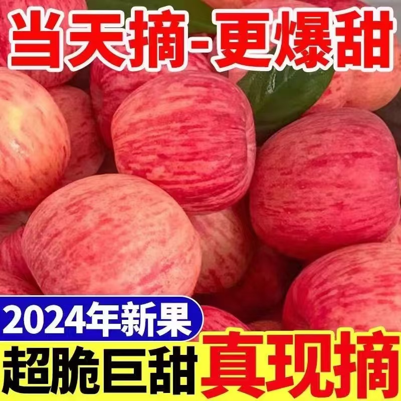 冰糖心红富士苹果买五送五水果红富士脆甜可口现采直发包邮