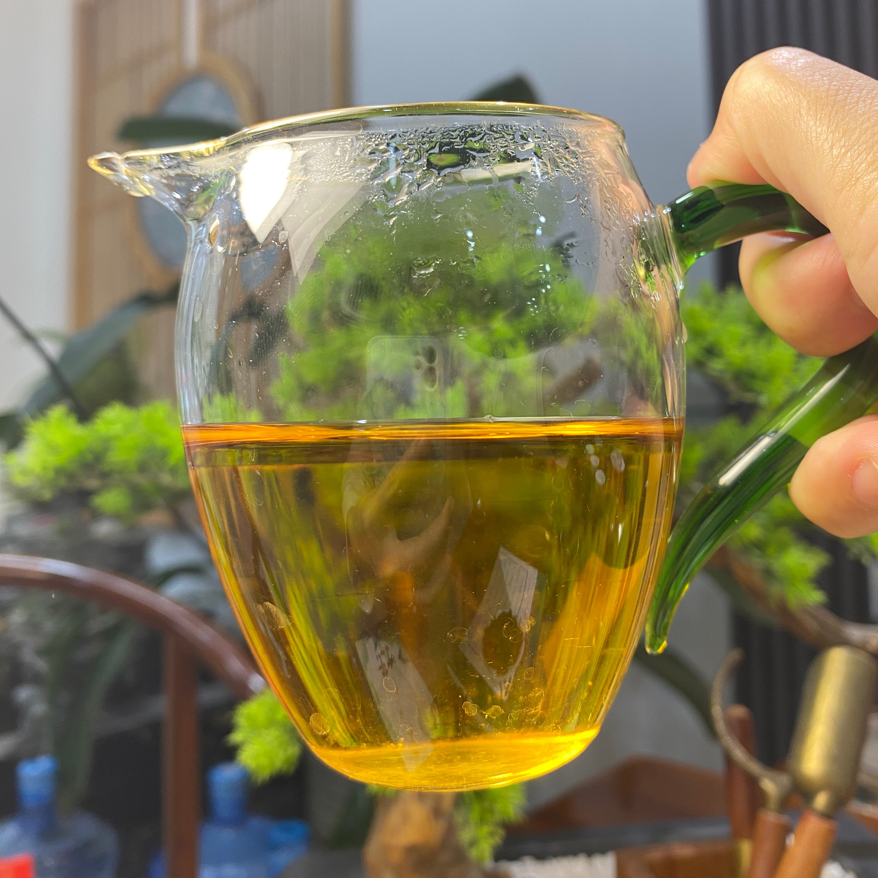 【荒野红·春调】信阳毛尖新茶花果香蜜香传统工艺盒装金汤红茶