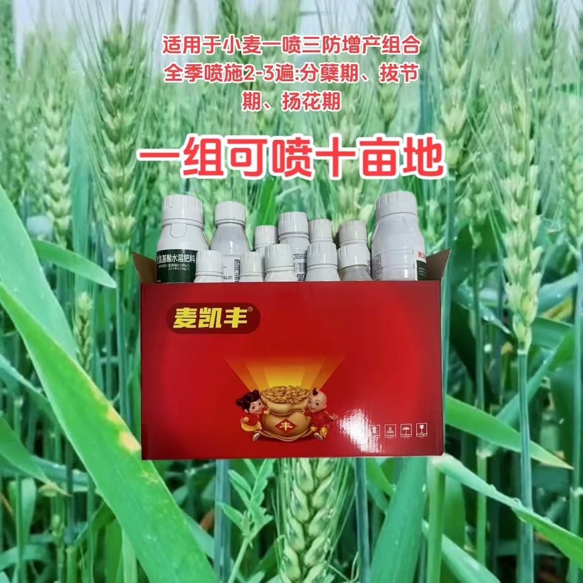 麦凯丰  适用于小麦高产组合（一套十亩）防病防虫增产叶面肥