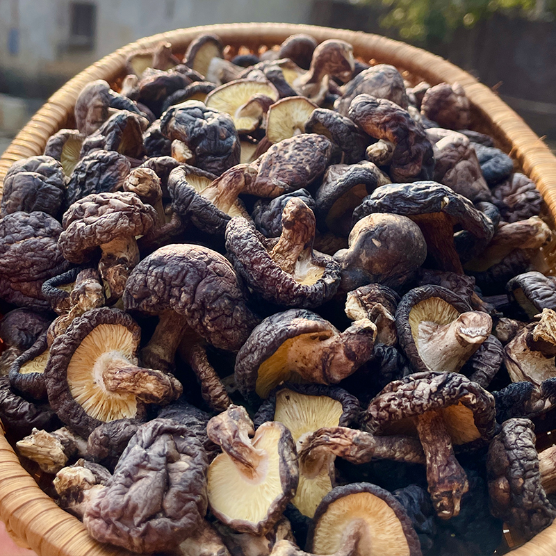 【雪姐-农家小香菇】广东粤北农家特产椴木小香菇100-500克散装食用
