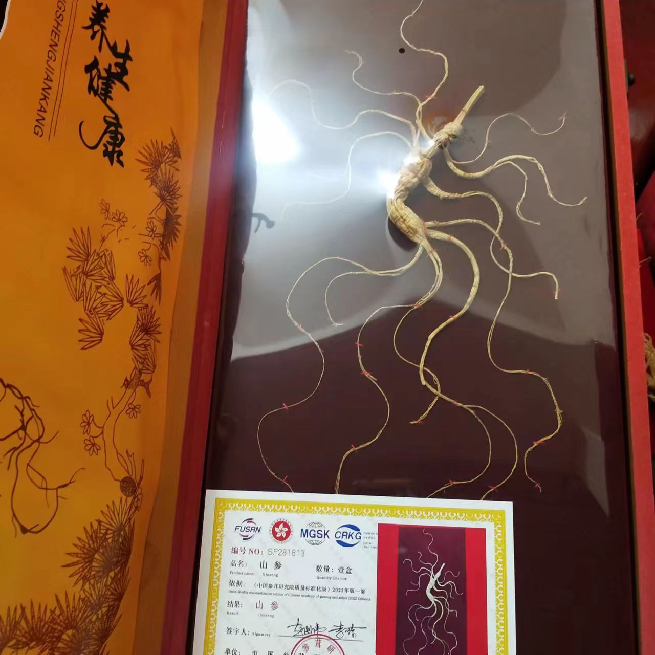 私人定制款精品【礼盒高度约45厘米】高龄林下山参礼盒  泡酒 炖汤