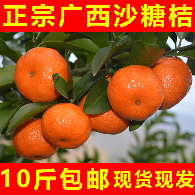 广西正宗砂糖橘多甜砂糖橘子新鲜现摘薄皮1-9斤产地爽口多汁