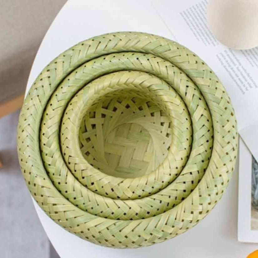 鸟巢果篮鸟巢果篮