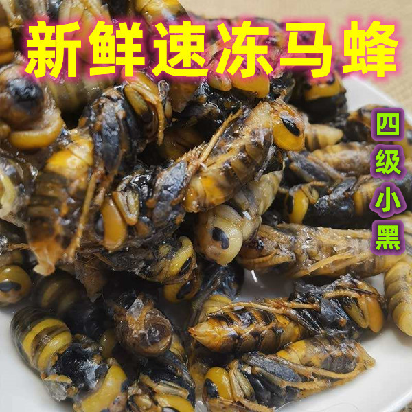 广东省2024年新鲜速冻树峰峰蛹4级蜂1斤起