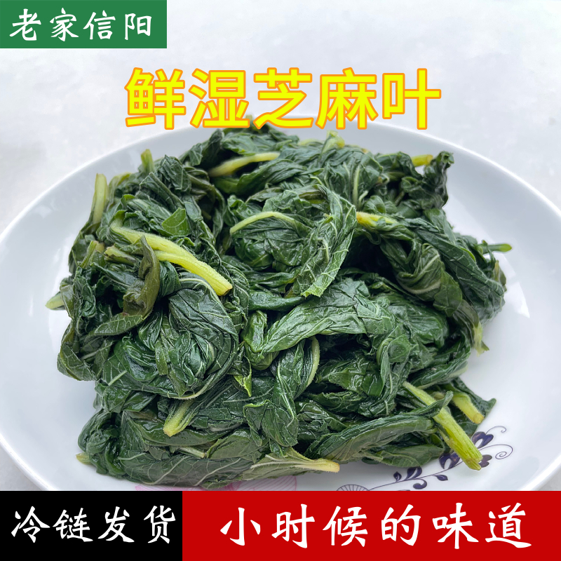 【糍粑哥自制】信阳本地鲜芝麻叶搓水真空2斤/3斤/4斤