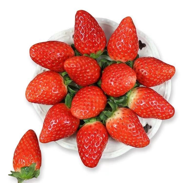 （草莓季）奶油草莓 新鲜草莓约250g/g