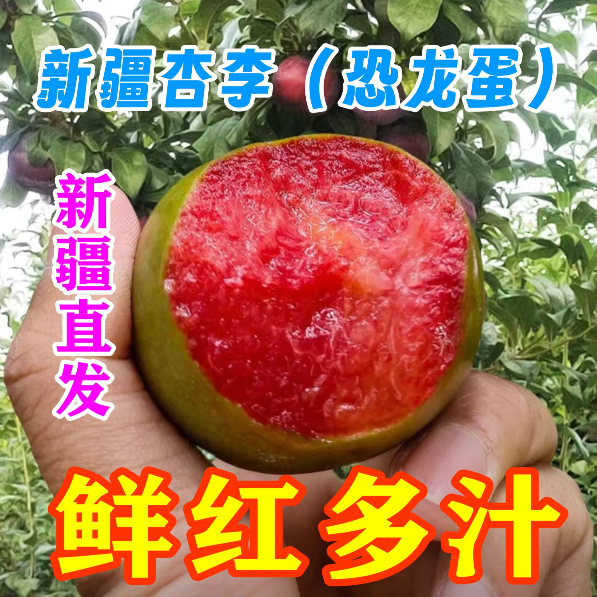 【新疆航空直发】新疆水果杏李恐龙蛋1.8kg