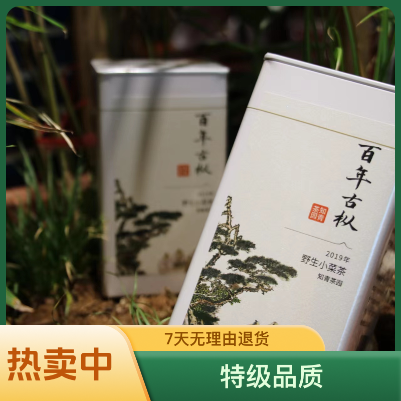 清默居茶境百年古枞小菜茶贡眉2019年福鼎白茶小菜树种