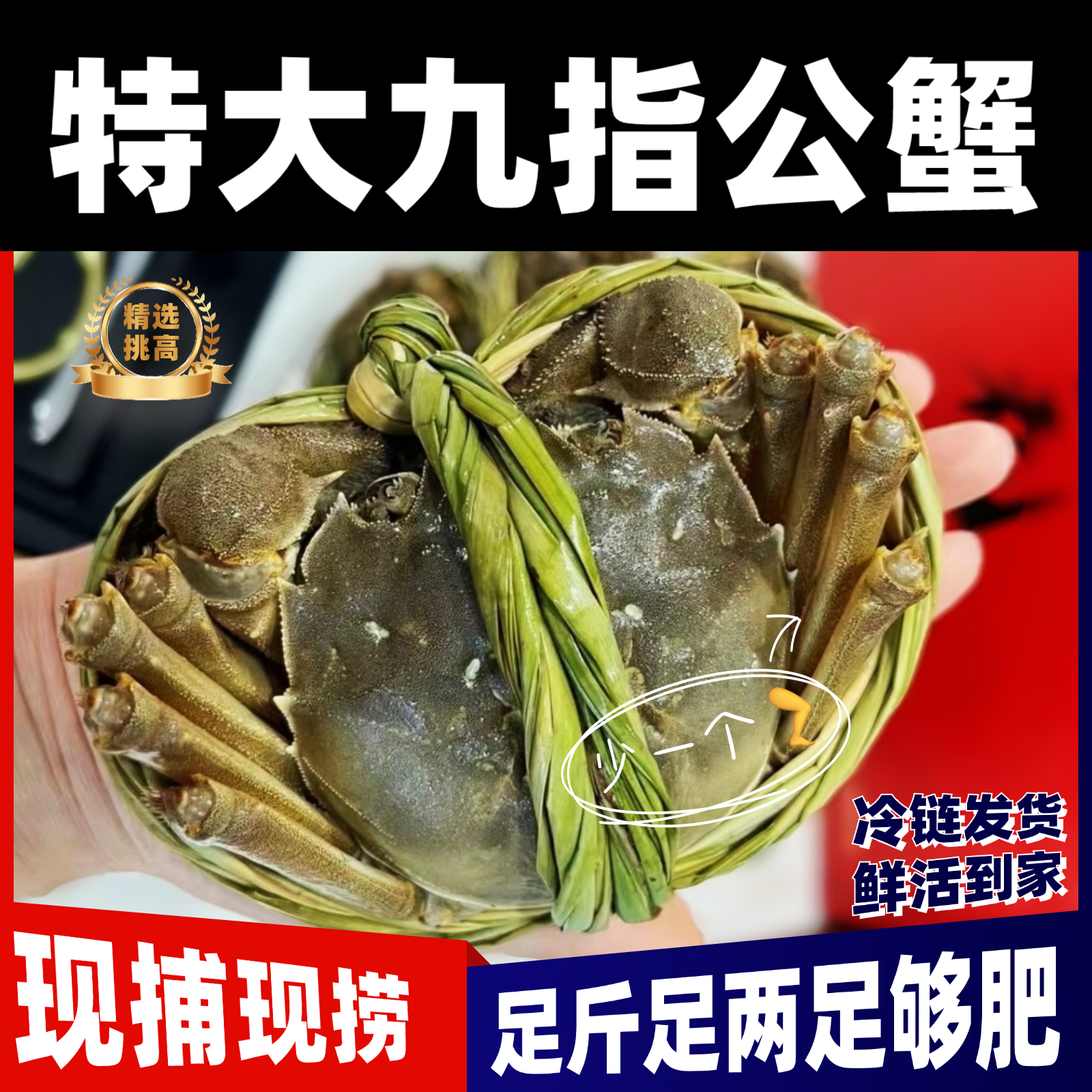 【大公蟹4两起/活蟹】7-8只精选公蟹 顺丰京东包邮发货