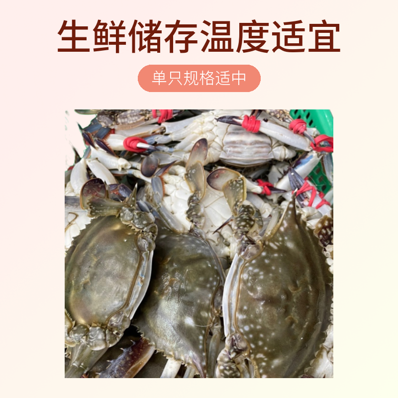 同城可拍，断氧冰鲜飞蟹福利【保鲜不保活】三斤5-10只3-6两