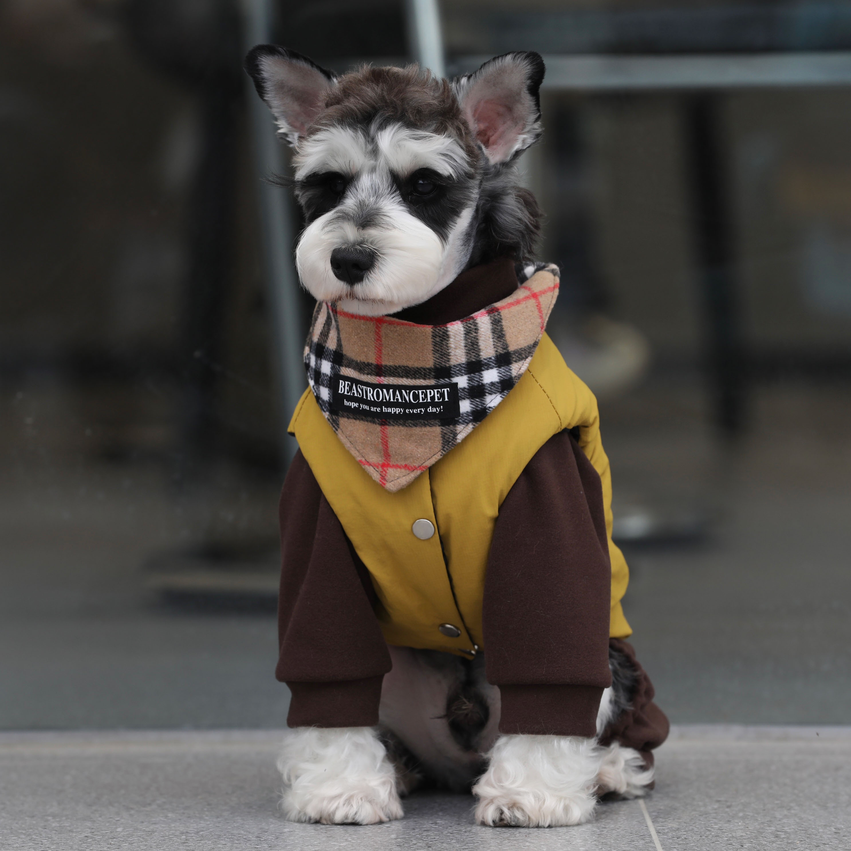 狗狗衣服冬季夹棉马甲雪纳瑞泰迪比熊加厚防风防雪外套大狗衣服