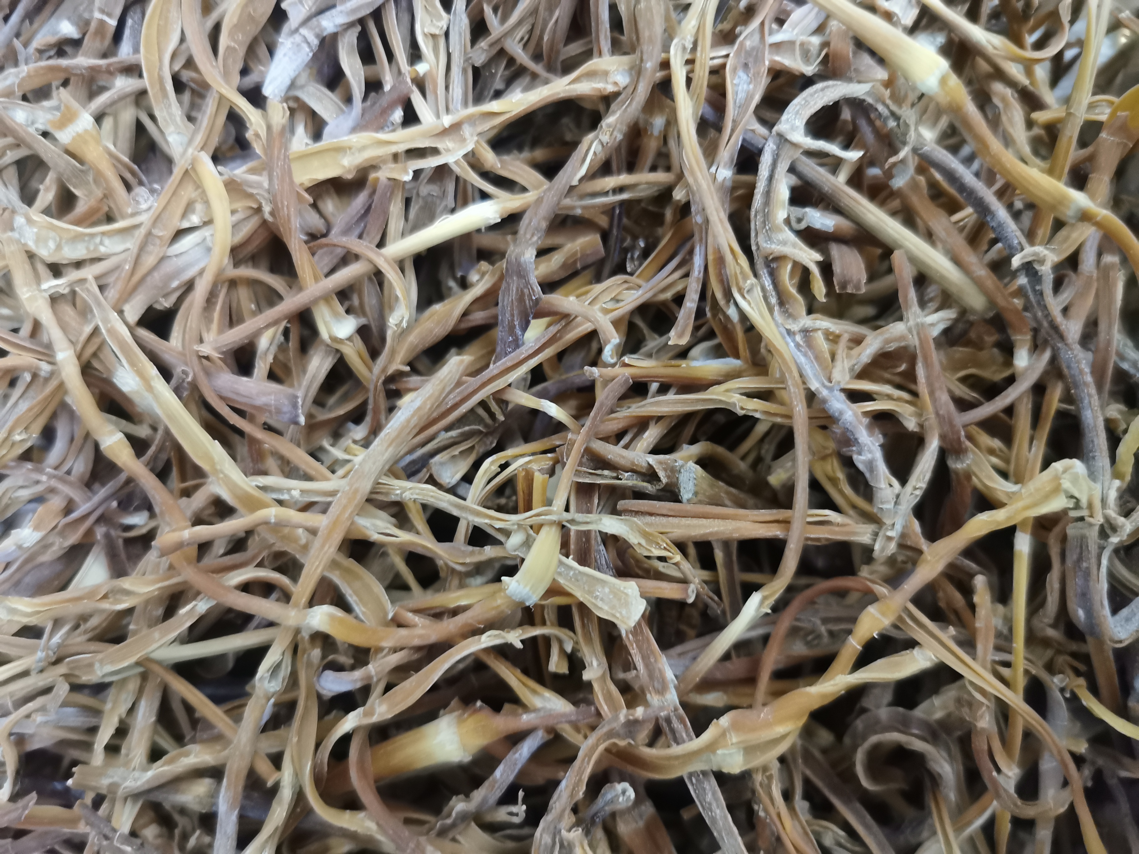 巴山干笋子有金竹笋，水竹笋，齐竹笋