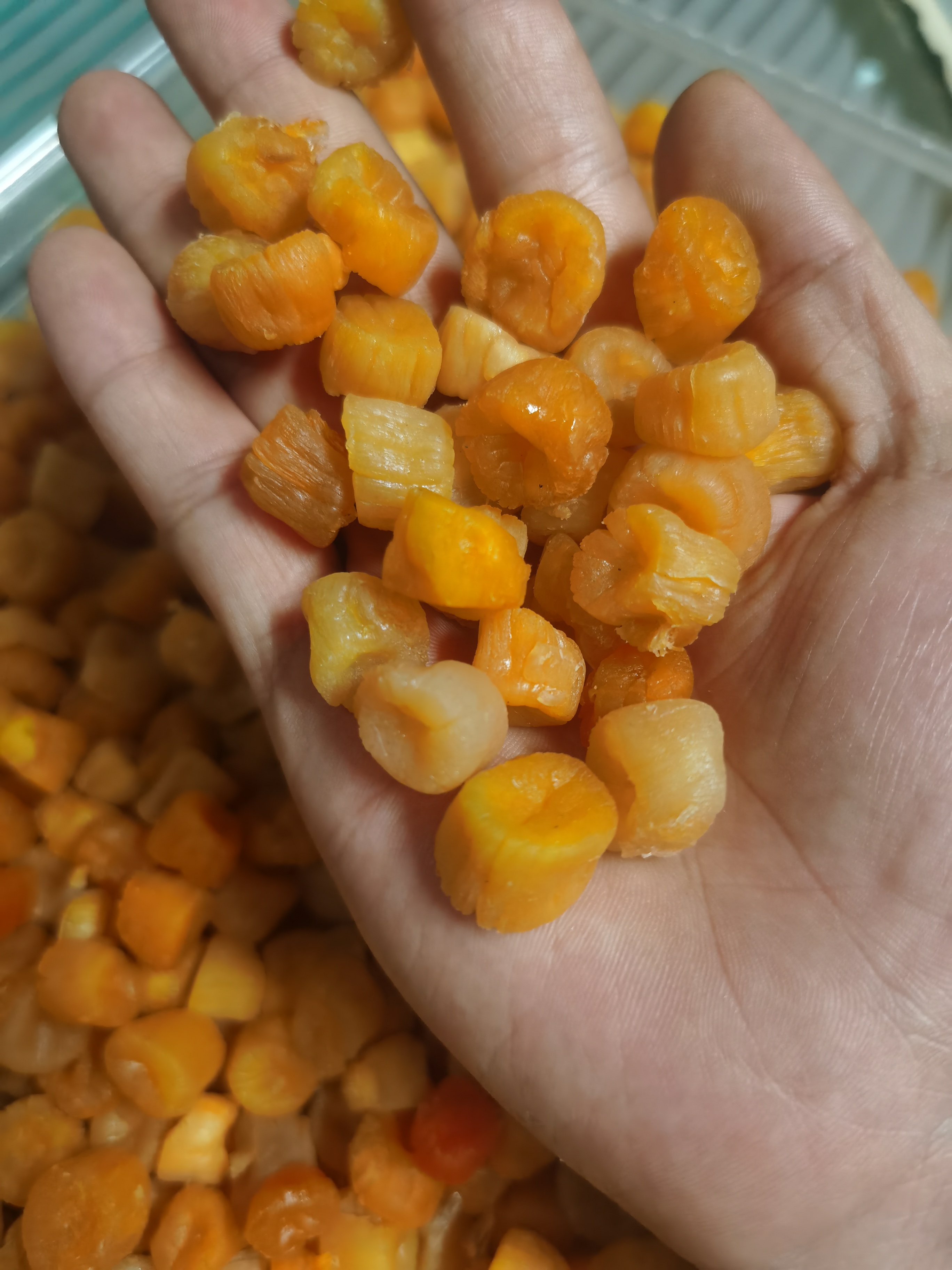 正宗湛江渔民自晒瑶柱 超大 约250头