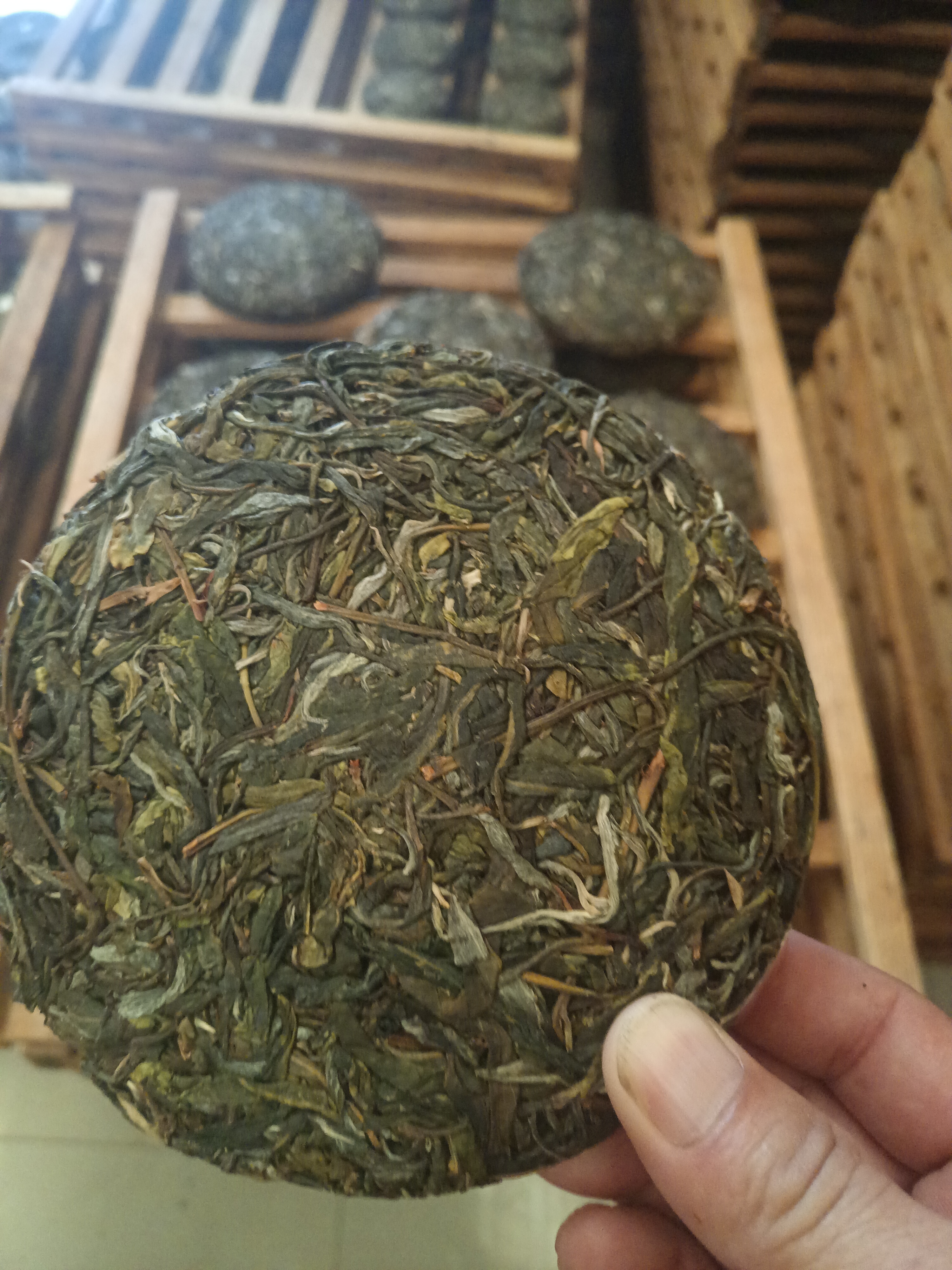 邦木古树（生茶）200g/饼