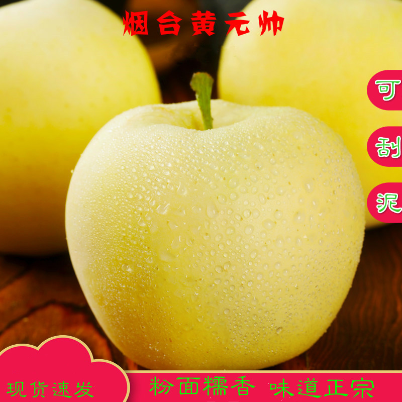 山东烟台黄金帅苹果黄元帅粉面糯香黄香蕉新鲜水果沙刮泥老品种
